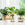 Hydroponic Plant Home Vase Decor Transparent Hydroponic Flower Pot Soilless Plant Pots Office Desktop Green Plants Pot Potted - AlluNeedt