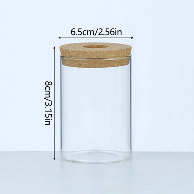 Hydroponic Plant Home Vase Decor Transparent Hydroponic Flower Pot Soilless Plant Pots Office Desktop Green Plants Pot Potted - AlluNeedt