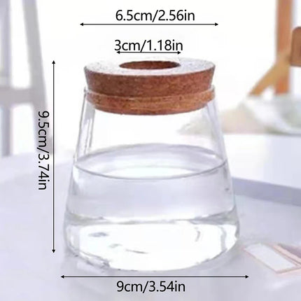 Hydroponic Plant Home Vase Decor Transparent Hydroponic Flower Pot Soilless Plant Pots Office Desktop Green Plants Pot Potted - AlluNeedt