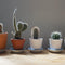 Home & Garden - EB