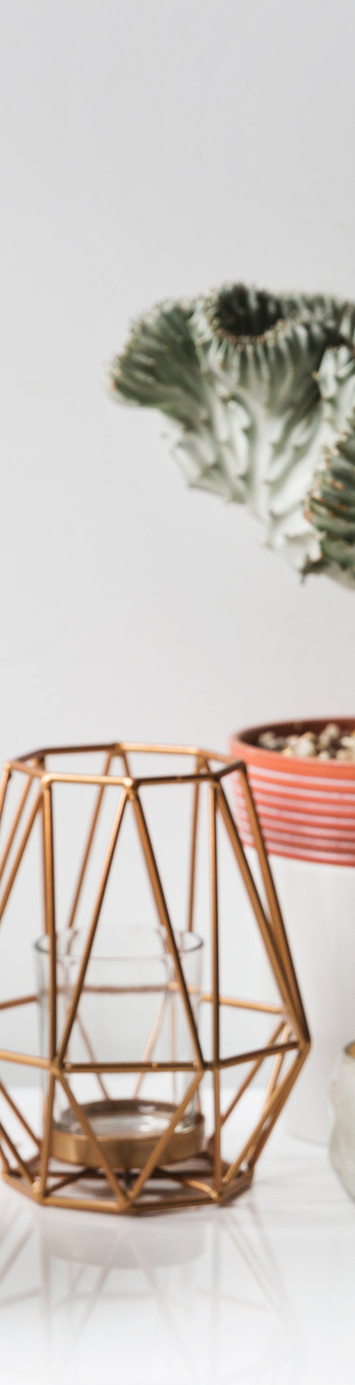 <h5>Everything your home needs in just a few clicks.</h5>